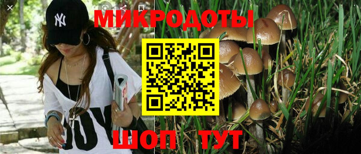 Алексин  Псилоцибиновые грибы Psilocybe  Вход с VPN 